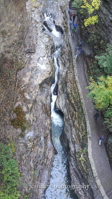 watkins glen 