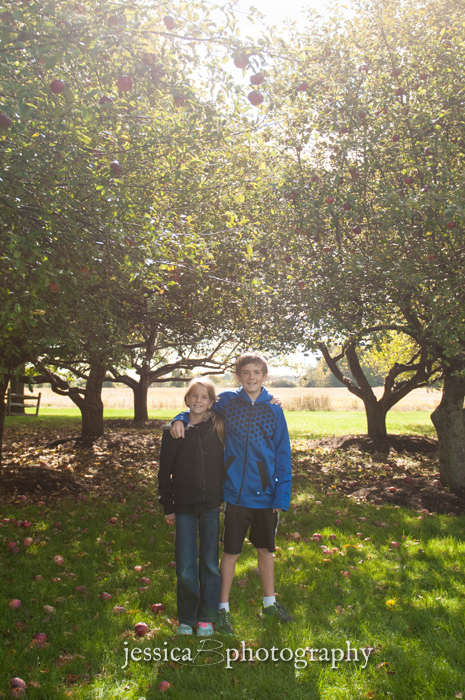 apple orchard