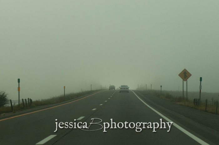 thick fog